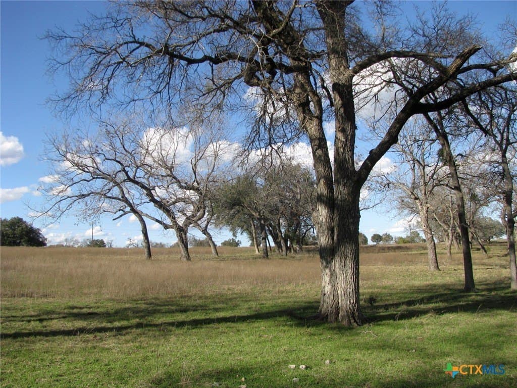 5.01 acres in Coryell County - photo 18