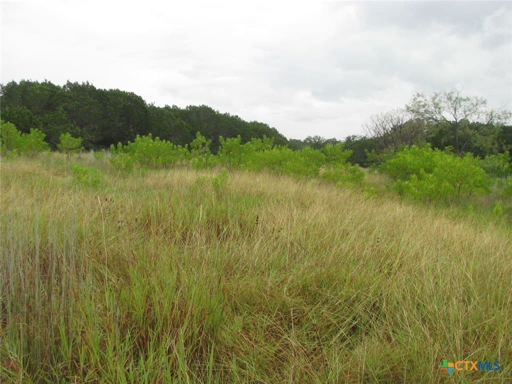 129.81 acres in Coryell County - photo 31