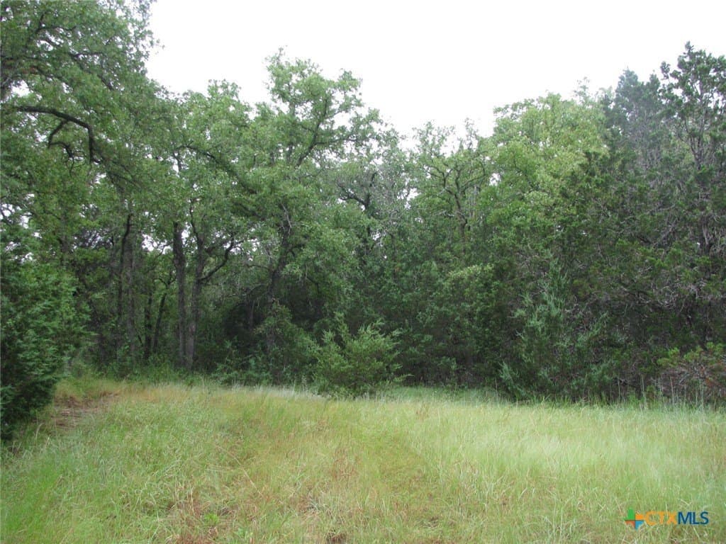 129.81 acres in Coryell County - photo 39