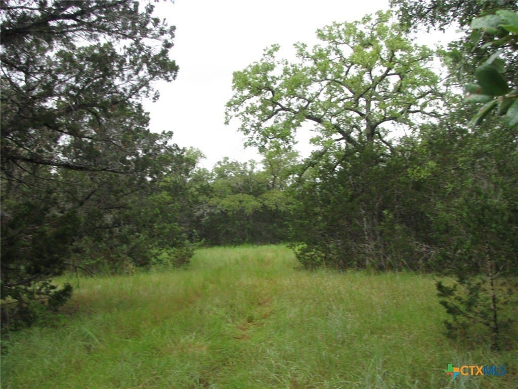 129.81 acres in Coryell County - photo 36