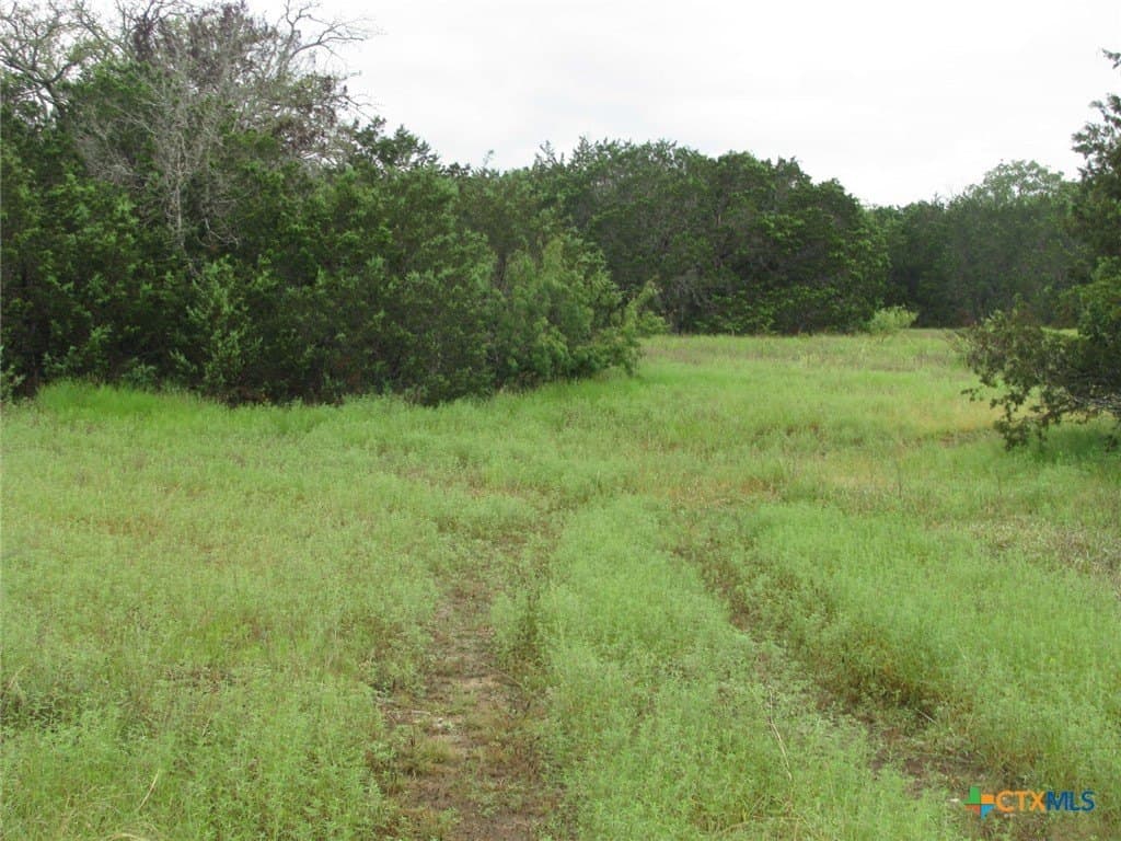 129.81 acres in Coryell County - photo 22