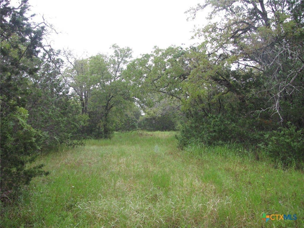 129.81 acres in Coryell County - photo 5