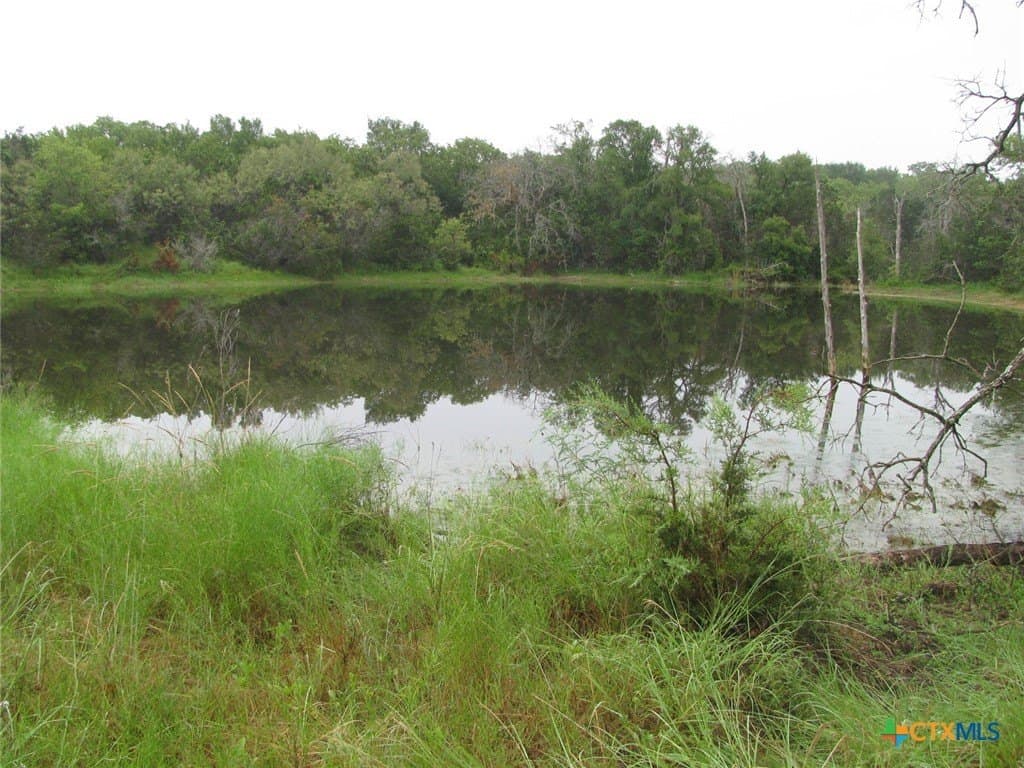 129.81 acres in Coryell County - photo 3