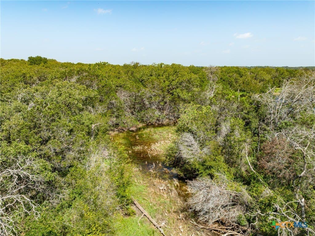 129.81 acres in Coryell County - photo 4