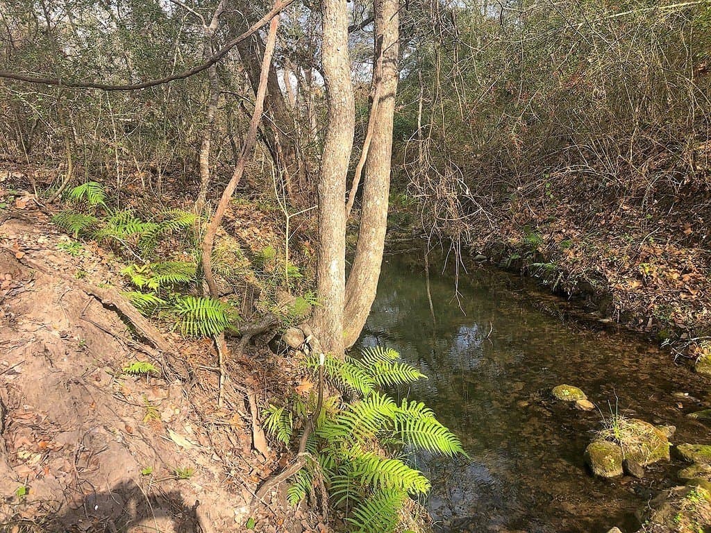County Road 221