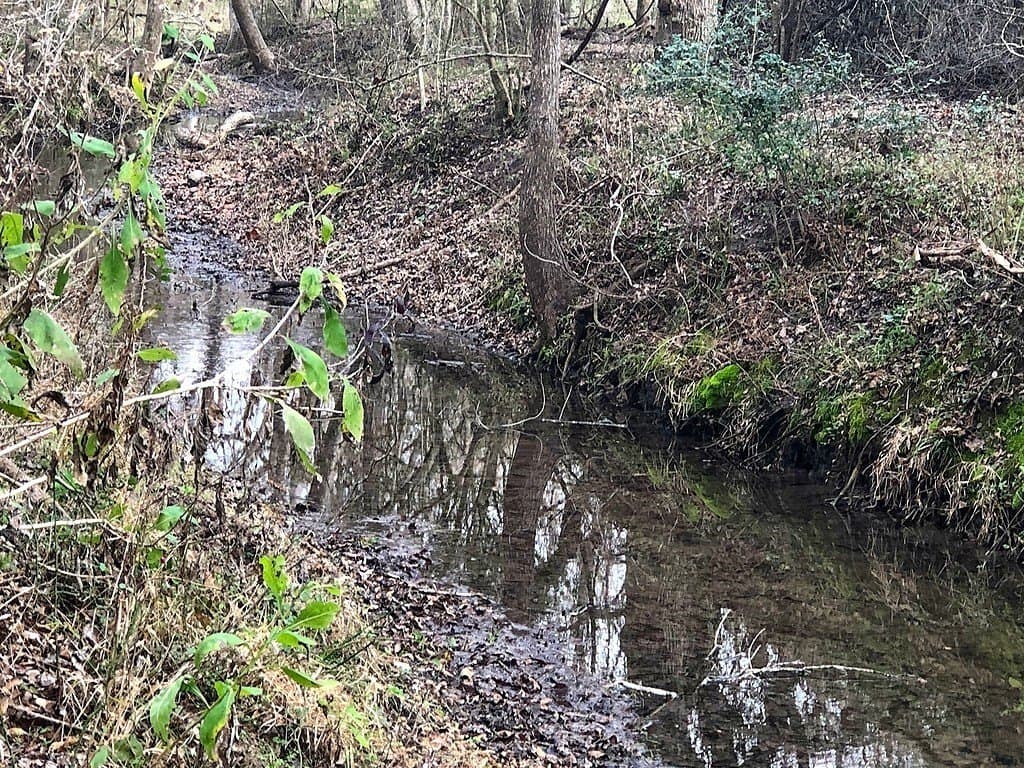 26 acres in Lavaca County - photo 4