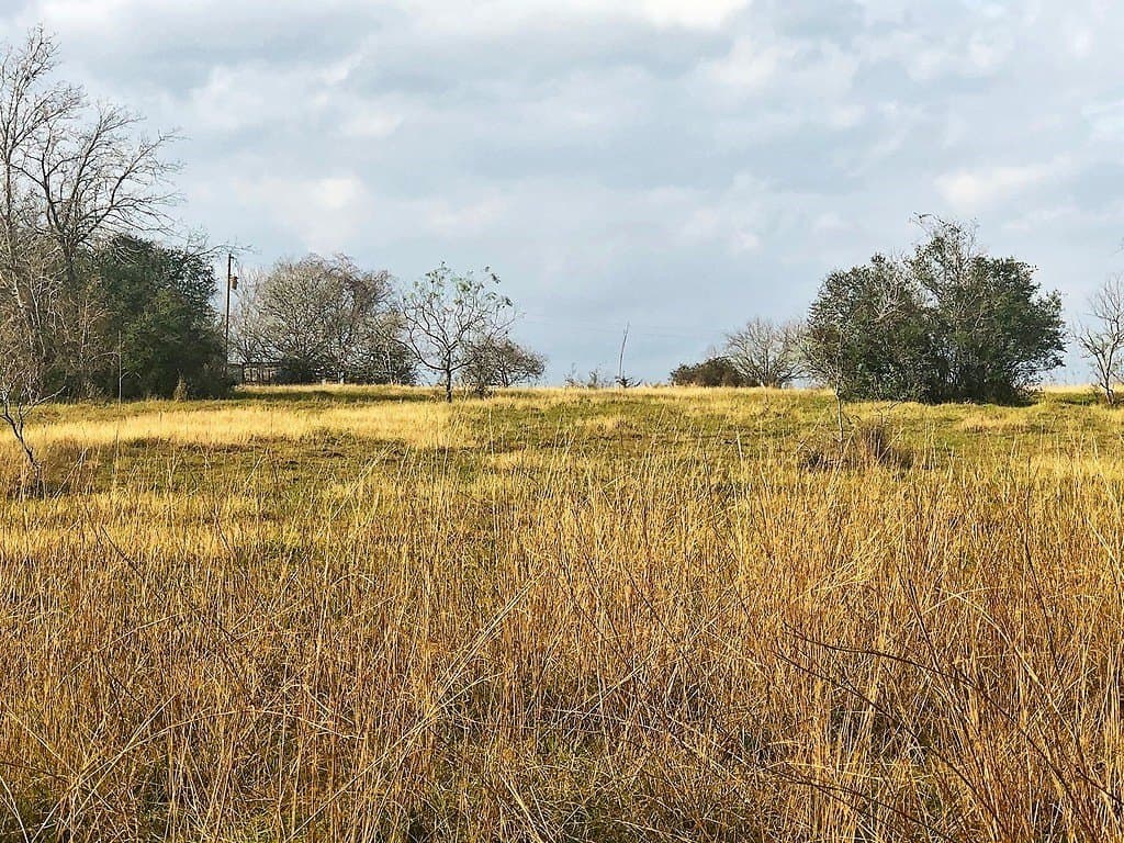 26 acres in Lavaca County - photo 2