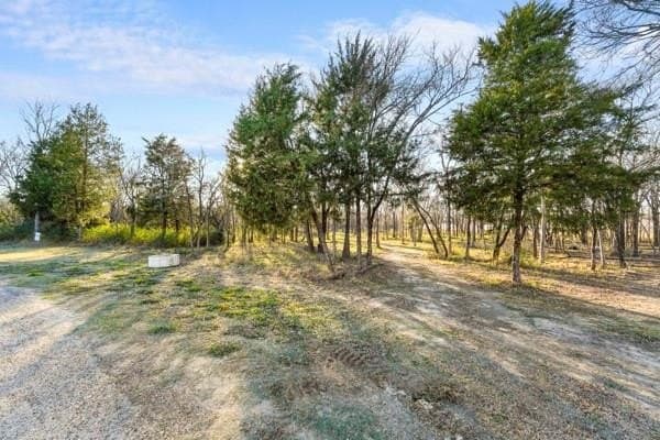 1.16 acres in Henderson County - photo 14