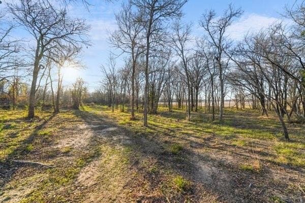 1.16 acres in Henderson County - photo 15