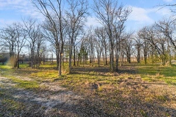 1.16 acres in Henderson County - photo 18