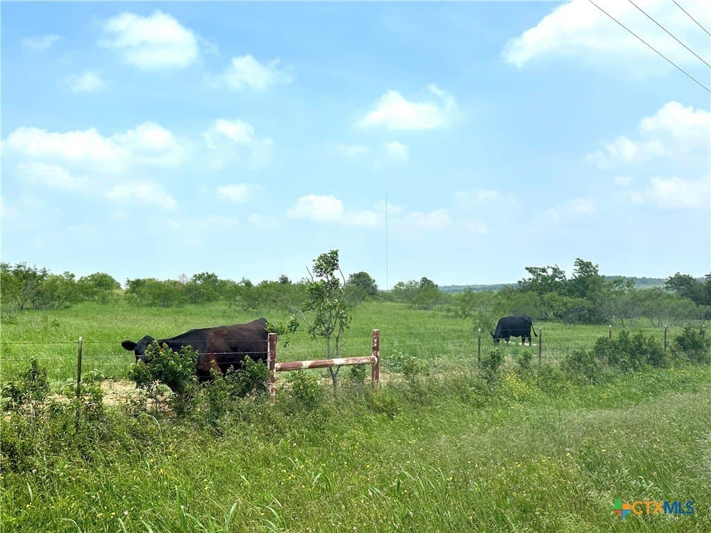 11.1 acres in Texas County - photo 10