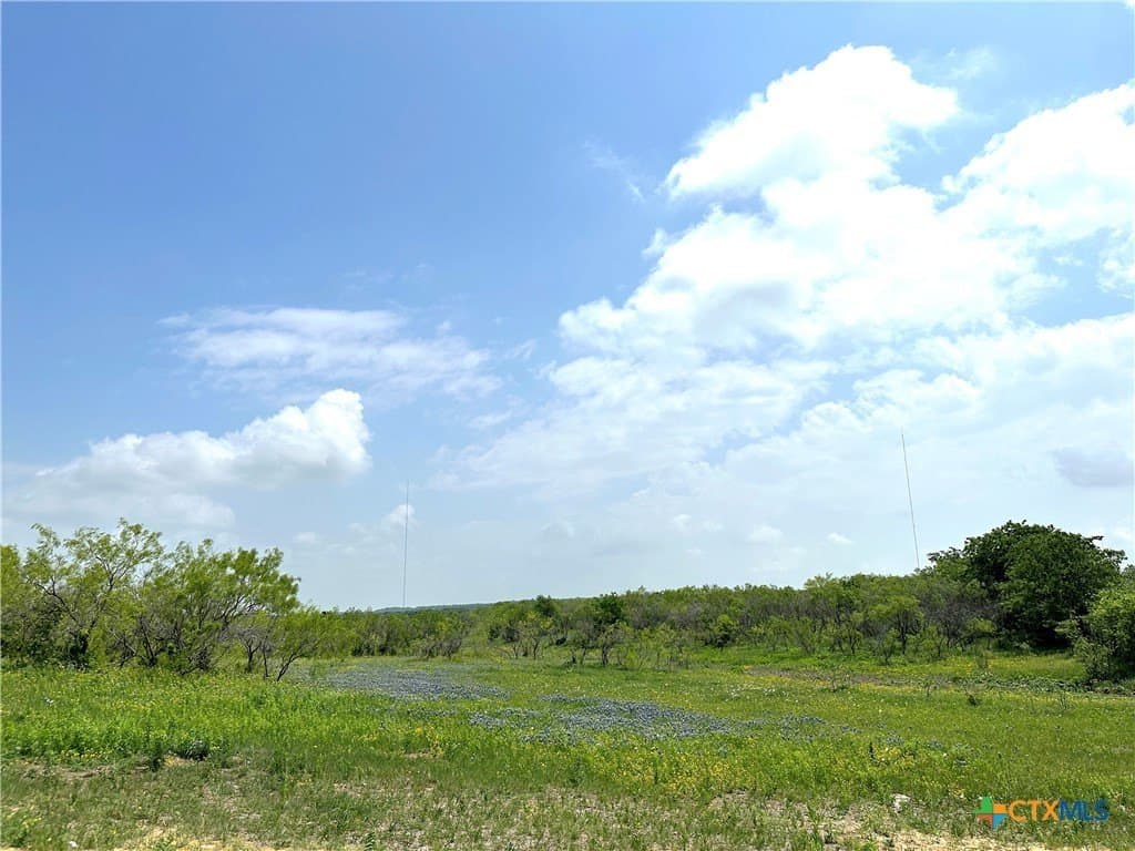 11.1 acres in Texas County - photo 8