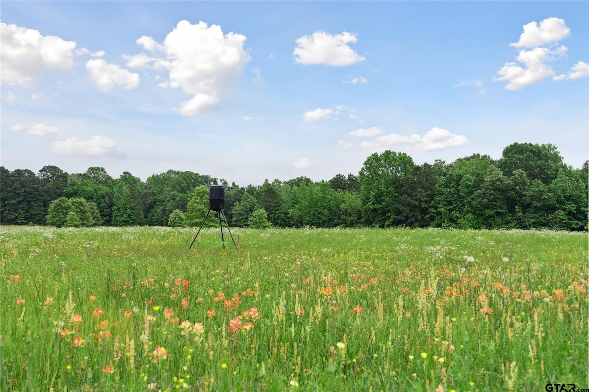 19 acres in Smith County - photo 34