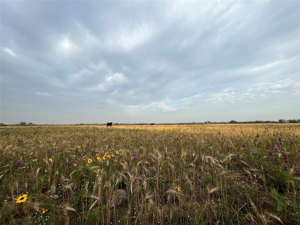 55.9 acres in Taylor County - photo 3