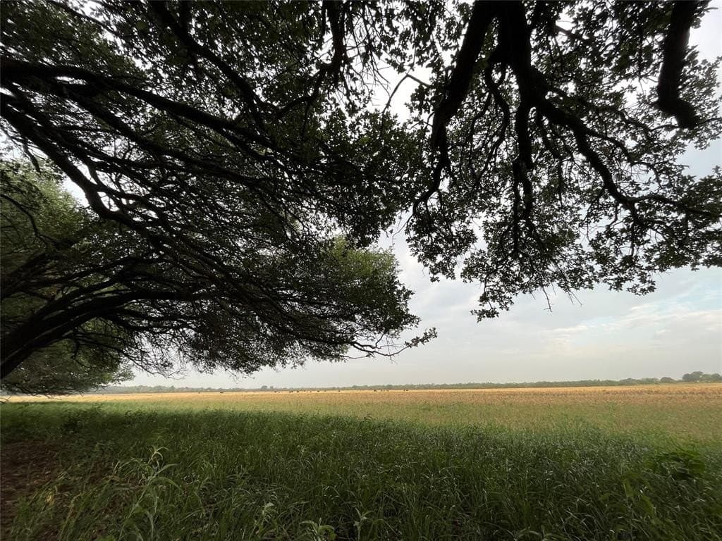 55.9 acres in Taylor County - photo 2