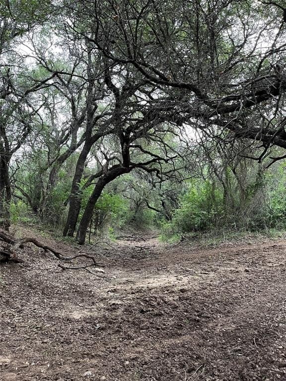 55.9 acres in Taylor County - photo 6