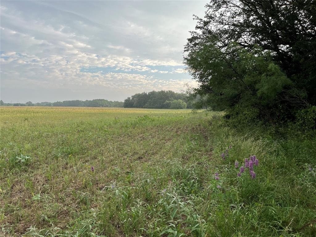 55.9 acres in Taylor County - photo 8