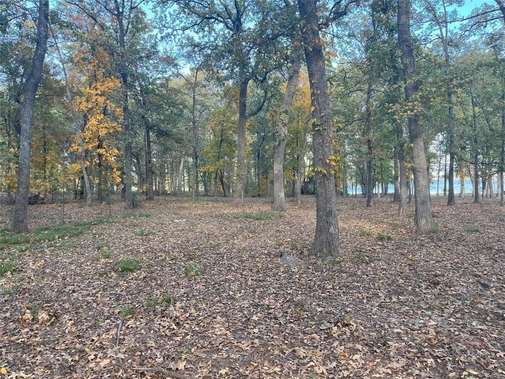 1 acres in Hunt County - photo 8