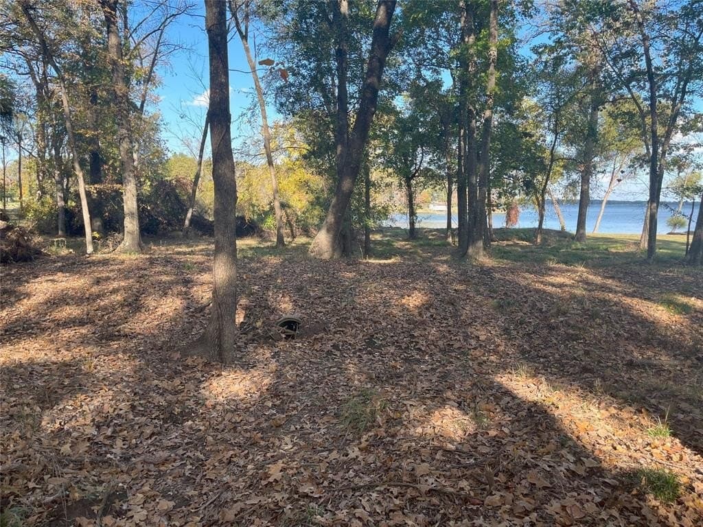 1 acres in Hunt County - photo 10