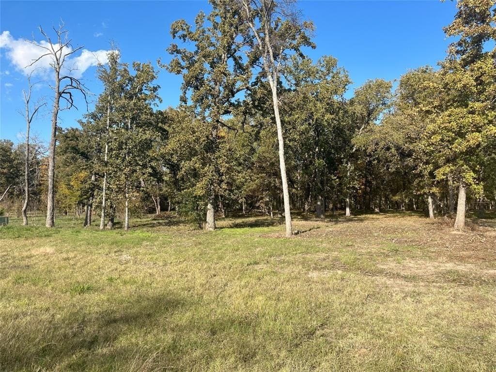 1 acres in Hunt County - photo 5
