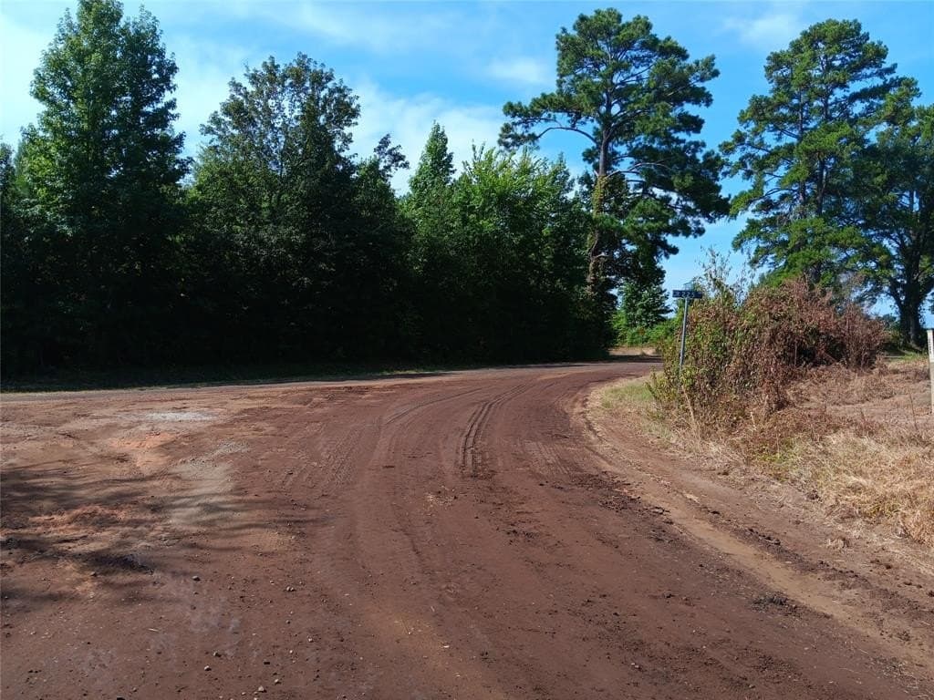10 acres in Panola County - photo 2