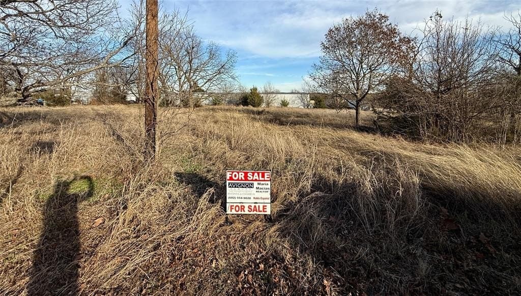 1.01 acres in Collin County - photo 22