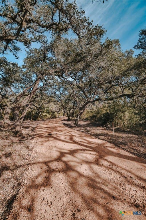 11.68 acres in Victoria County - photo 7