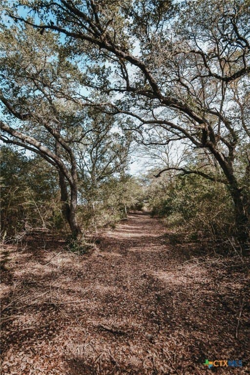 11.68 acres in Victoria County - photo 13