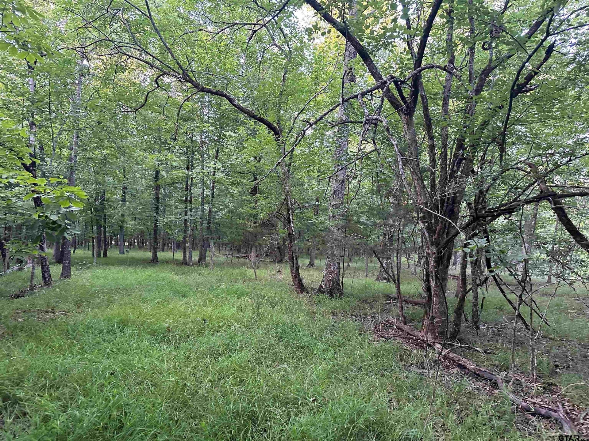 745.77 acres in Red River County - photo 48