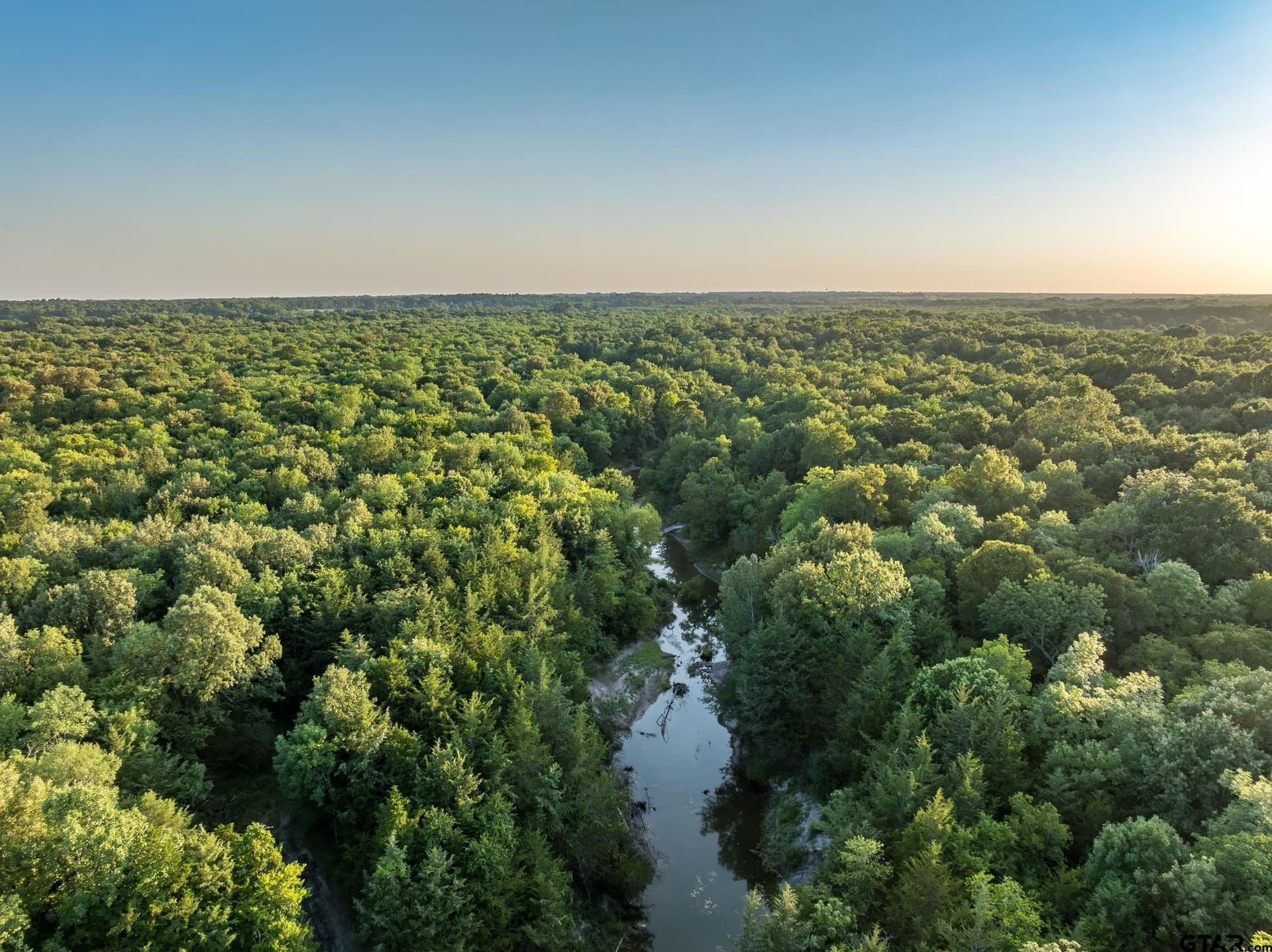 745.77 acres in Red River County - photo 42