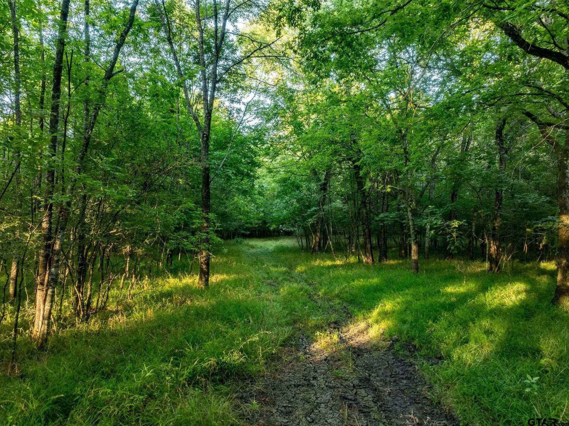 745.77 acres in Red River County - photo 47