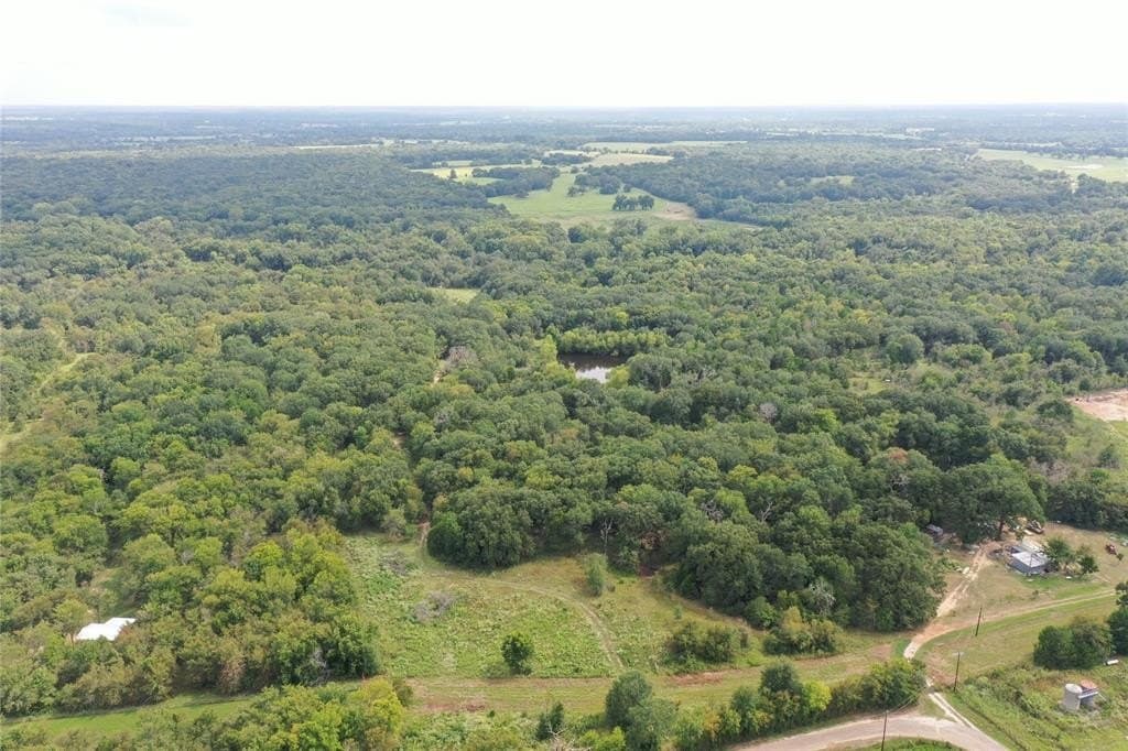 58.16 acres in Freestone County - photo 6
