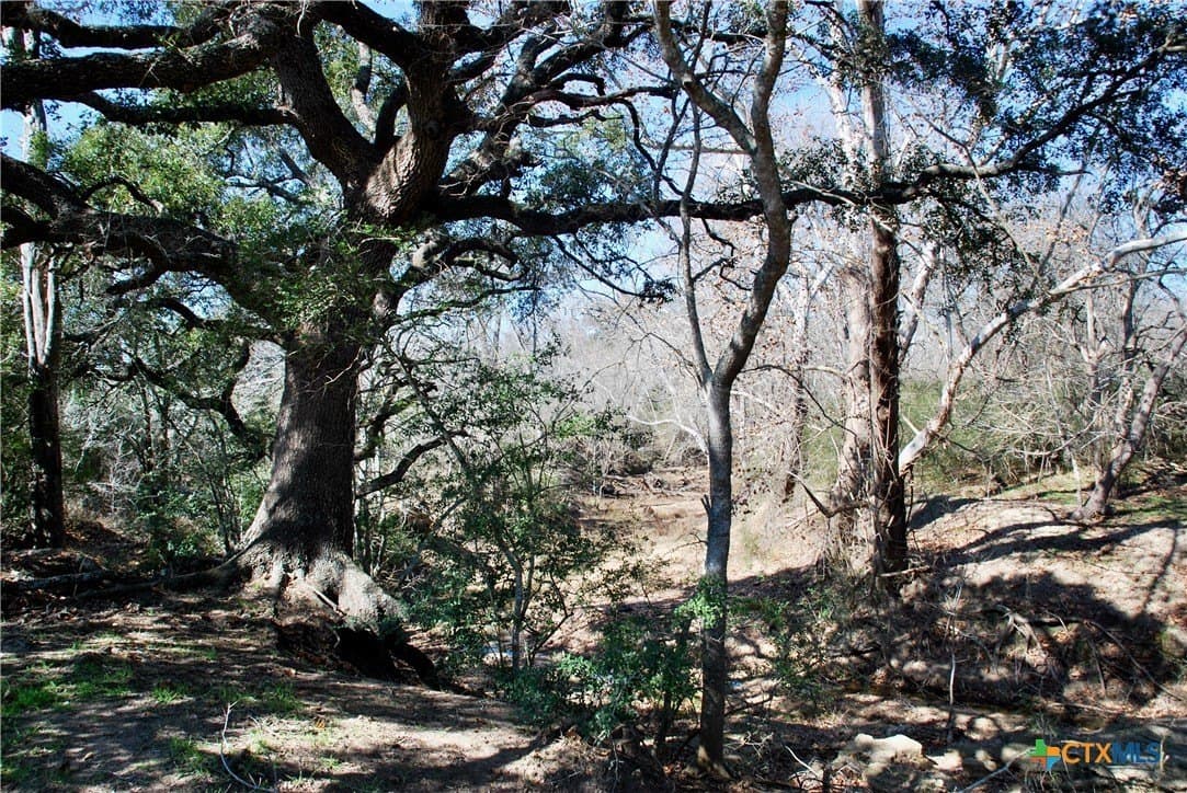 103.5 acres in Lavaca County - photo 27