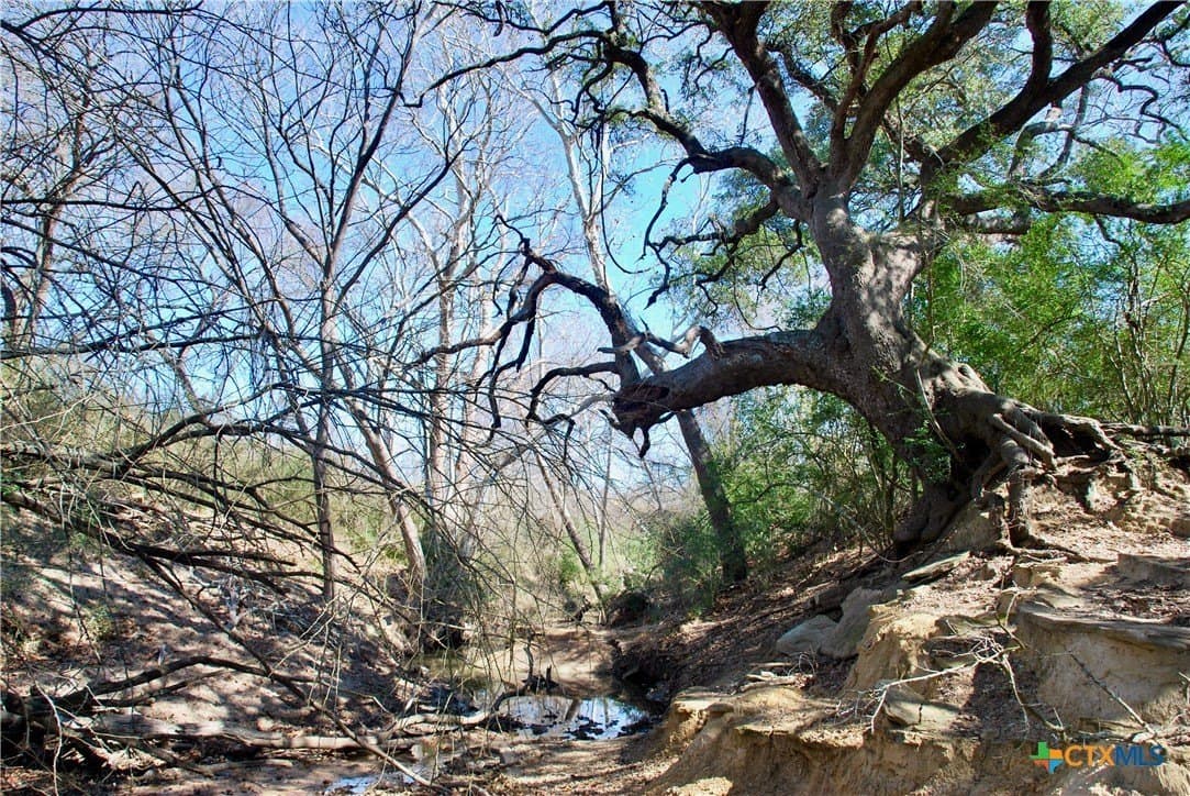 103.5 acres in Lavaca County - photo 28