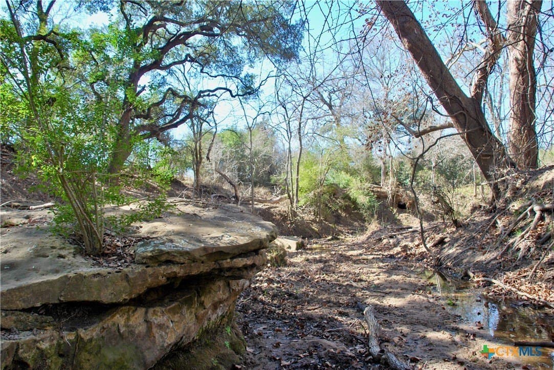 103.5 acres in Lavaca County - photo 32