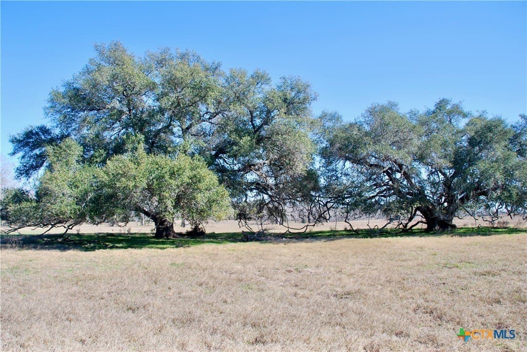103.5 acres in Lavaca County - photo 36