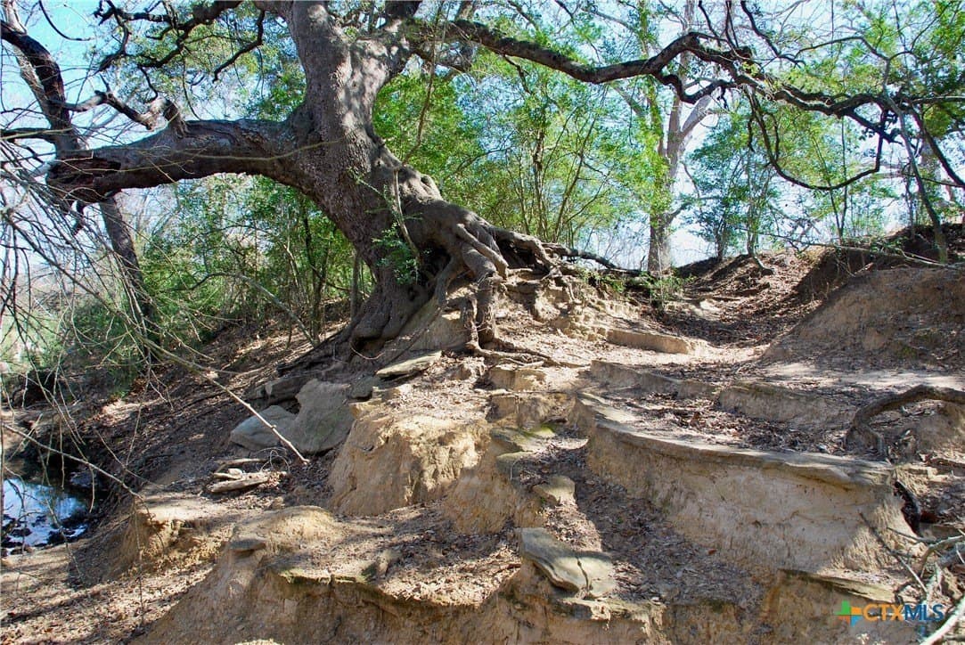 103.5 acres in Lavaca County - photo 29