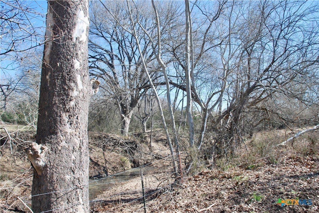 103.5 acres in Lavaca County - photo 26