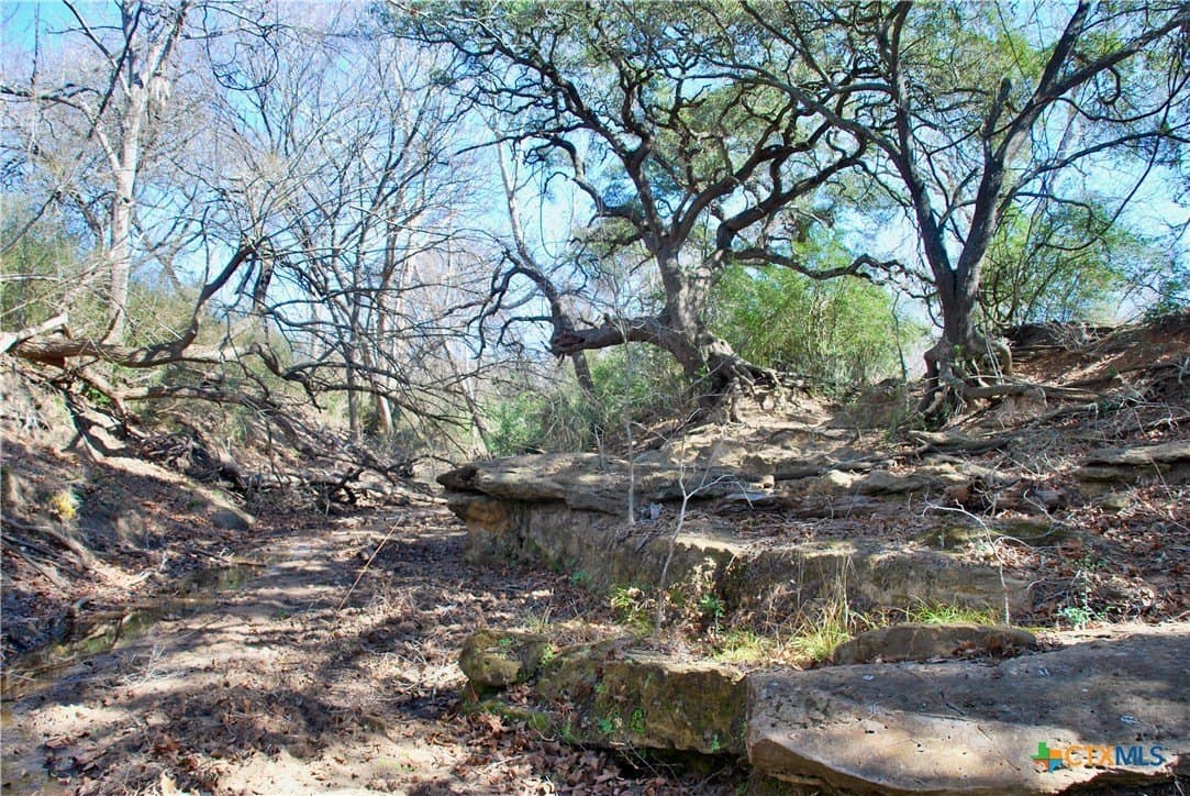 103.5 acres in Lavaca County - photo 33