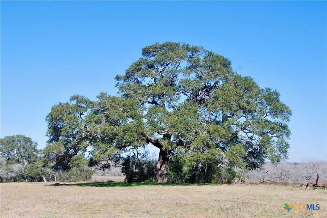 103.5 acres in Lavaca County - photo 20