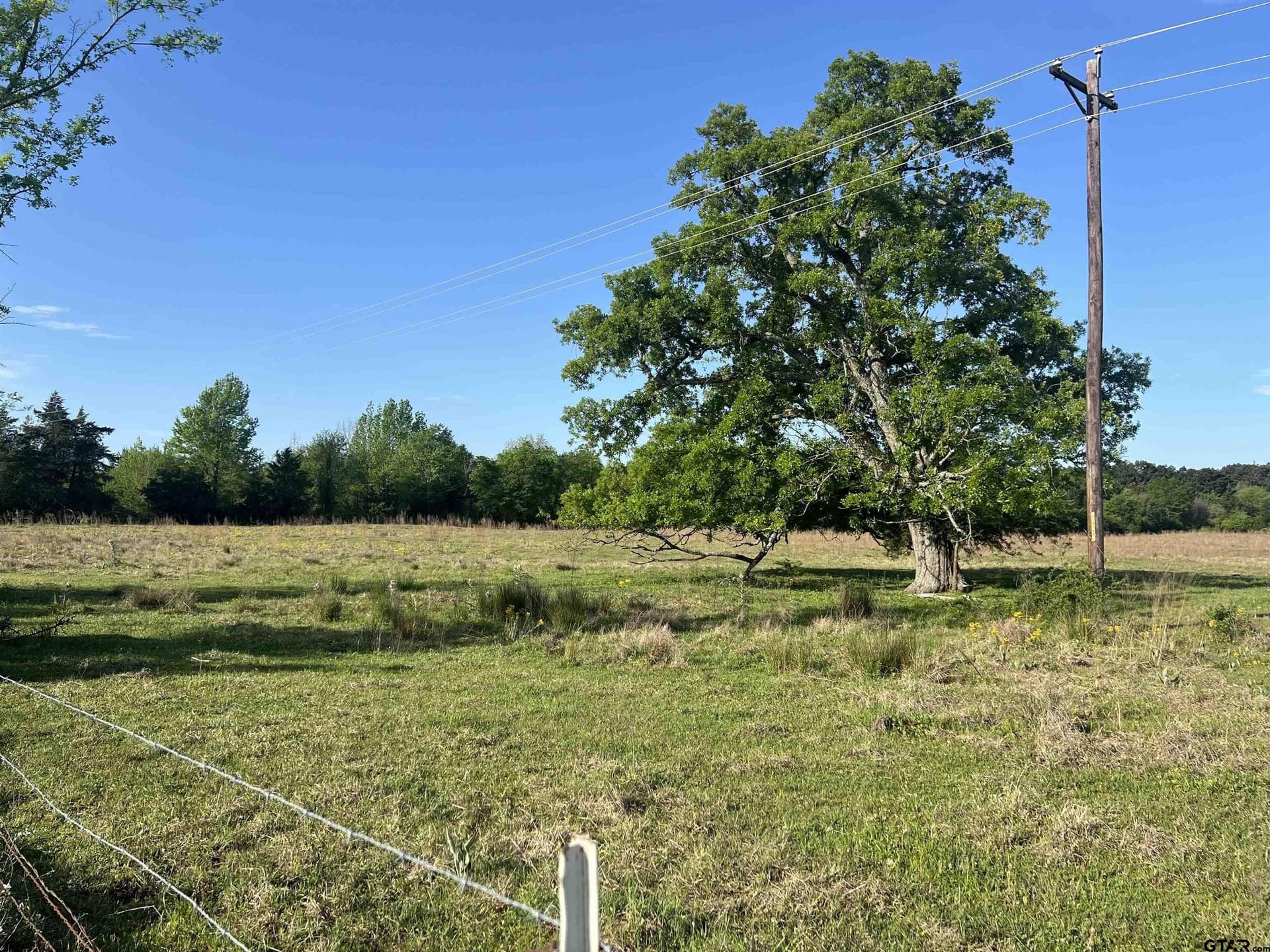 16.5 acres in Titus County - photo 2