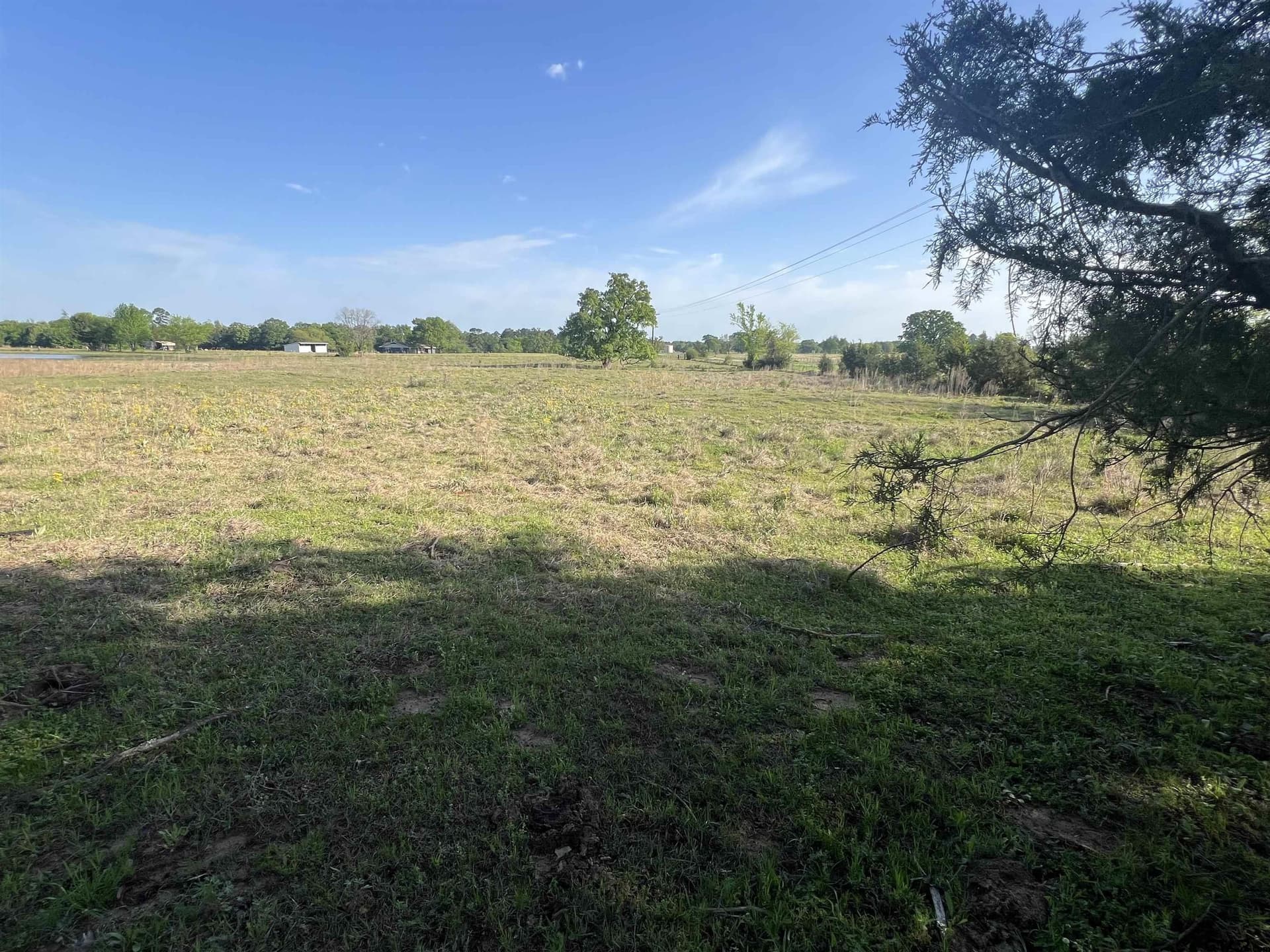 16.5 acres in Titus County - photo 3