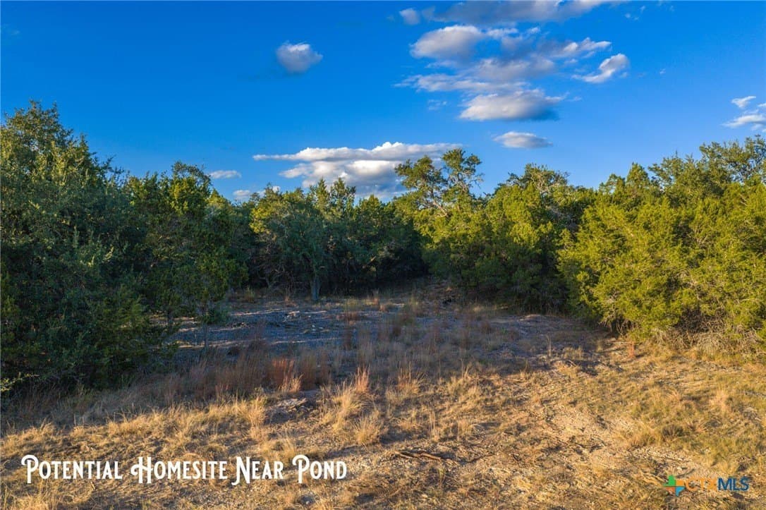 20.35 acres in Hays County - photo 9