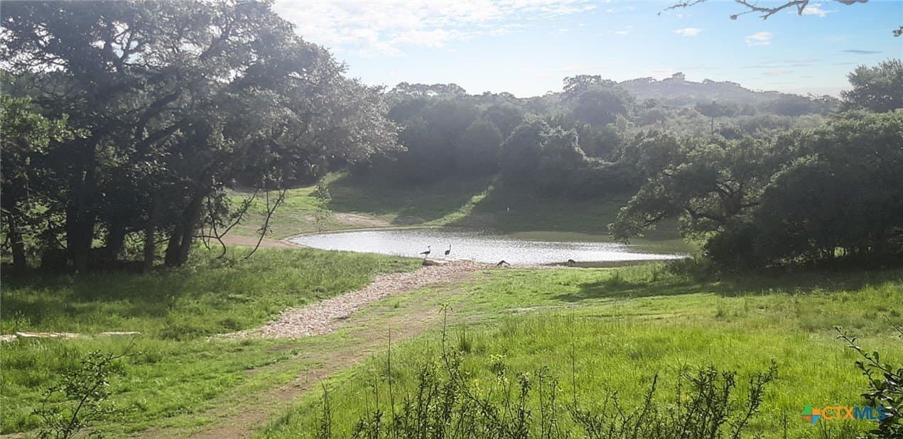 20.35 acres in Hays County - photo 22
