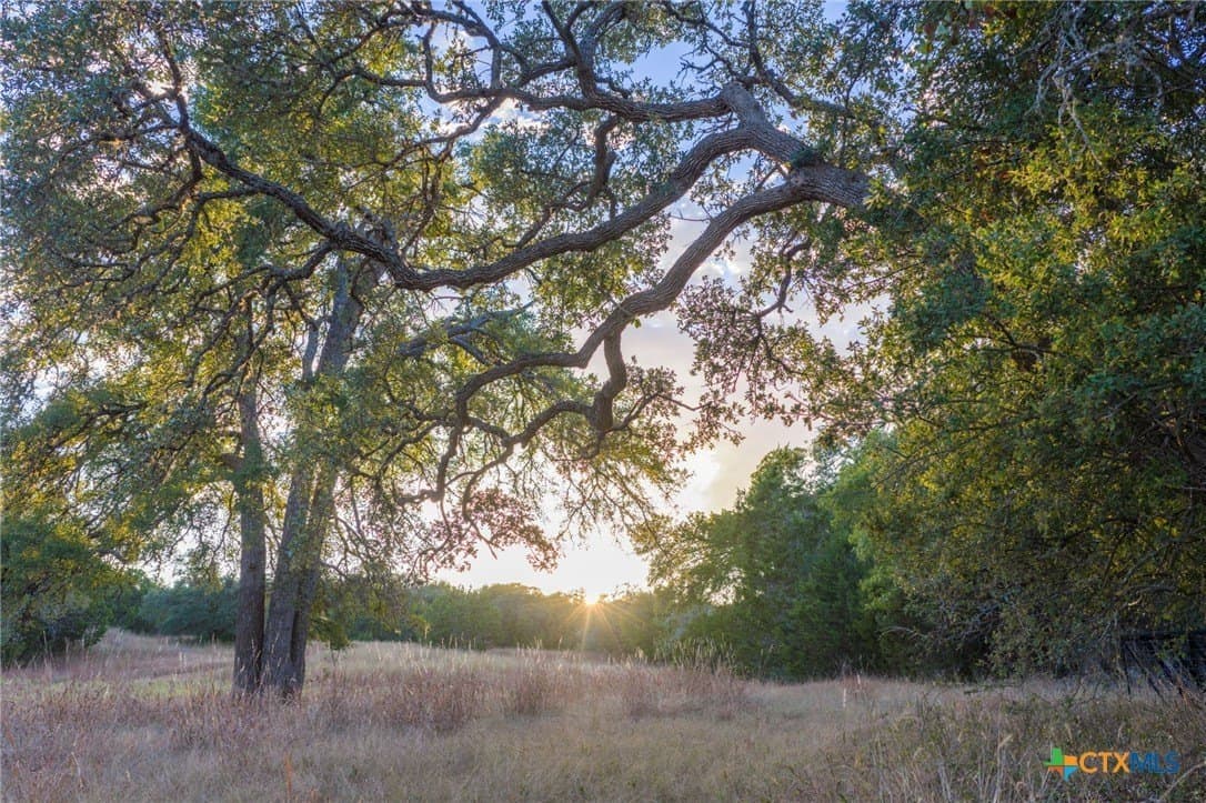 20.35 acres in Hays County - photo 5
