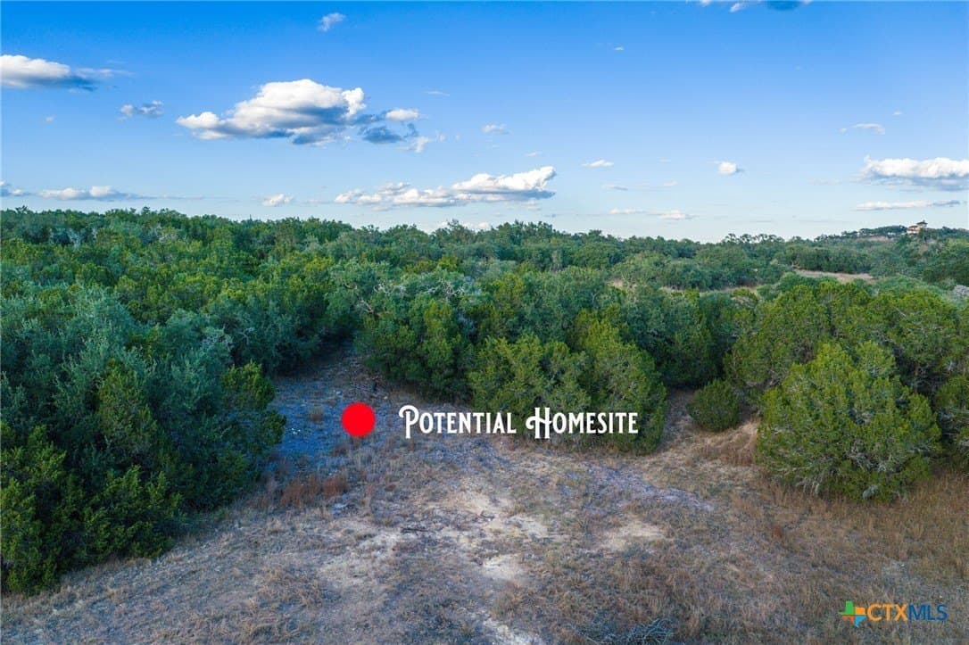 20.35 acres in Hays County - photo 24