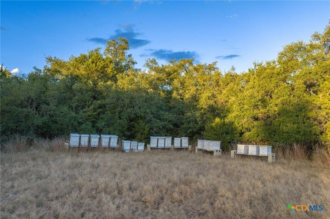 20.35 acres in Hays County - photo 10