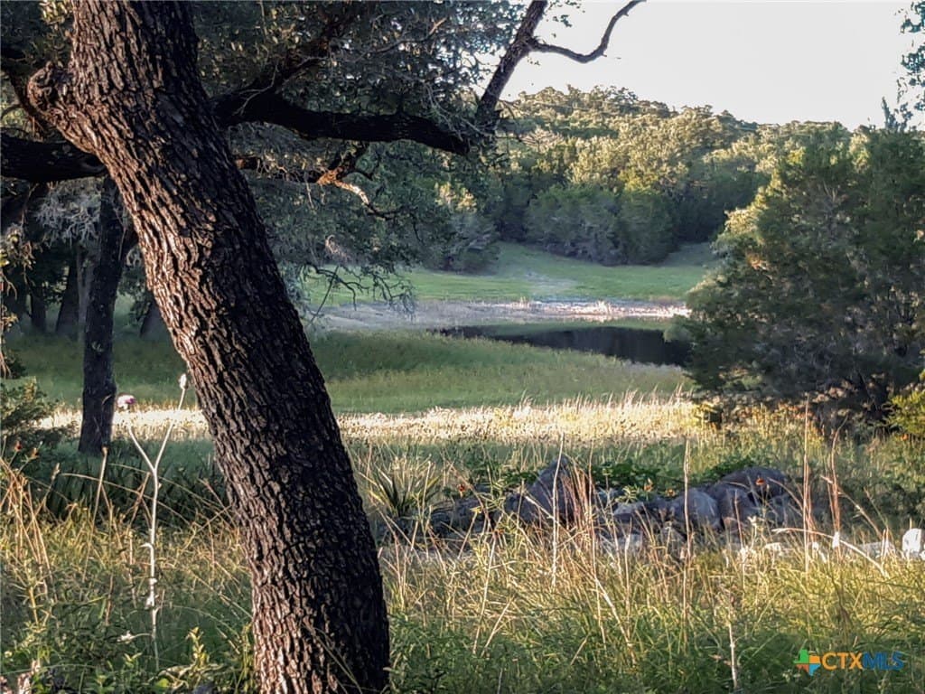 20.35 acres in Hays County - photo 8