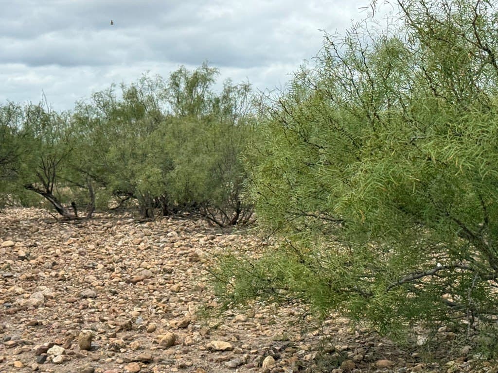 20.73 acres in Maverick County - photo 4