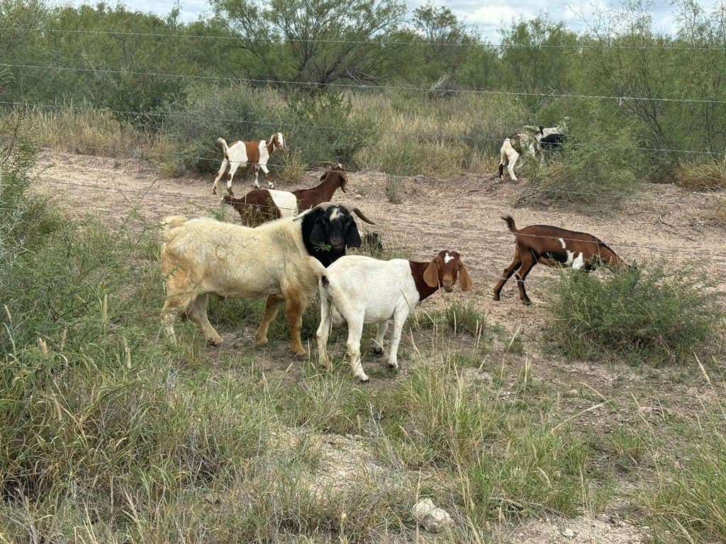 20.73 acres in Maverick County - photo 11